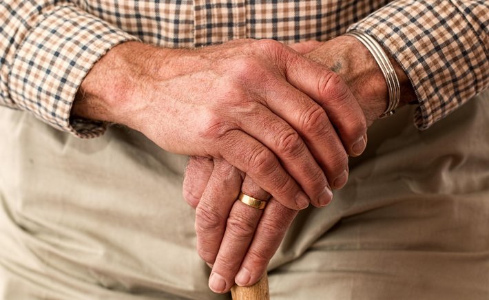 Senior Dog Care: Small Adjustments That Make a Big Difference
